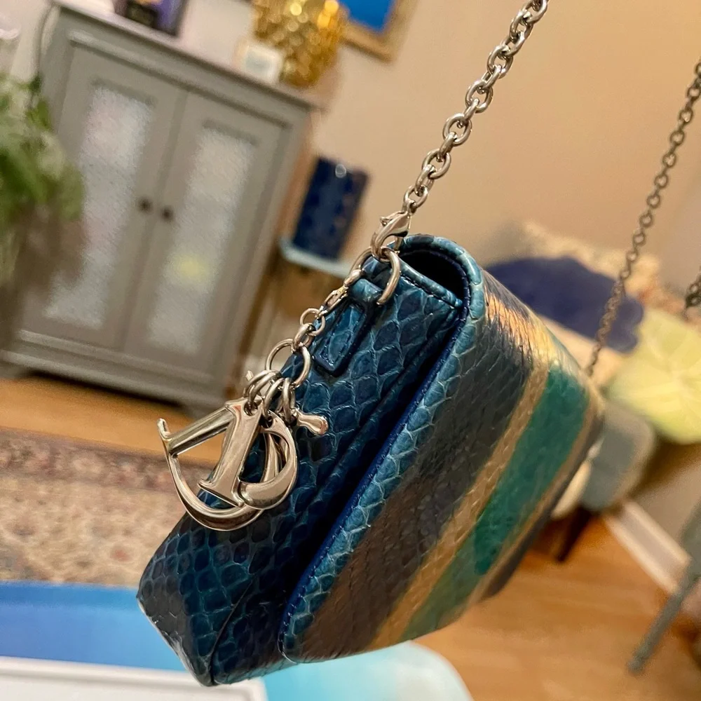 Dior Blue Python & Leather WOC Bag - Picture 6 of 16